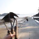 (주)파인비치 이미지