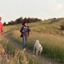 그림민박 이미지