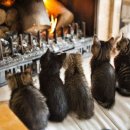 (주)제이오 이미지