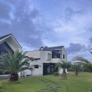 그날 오후 | [제주] 별 보이는 제주 동쪽 감성 독채 숙소, 그날오후풀빌라 2동 후기