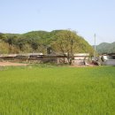 오복마을회관 이미지