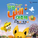 함평나비(무안) 이미지
