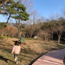 함평태권도장 이미지