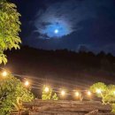 은행나무집 이미지