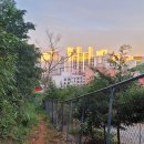 모모세탁소 이미지