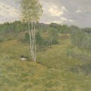 Birch grove / 자작나무 숲으로 이미지