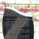 01-14 동구 이미지