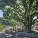 안기 마을회관 이미지