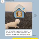 아따멍멍 미용앤호텔 이미지