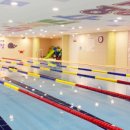 스타키즈수영장 중구점 이미지