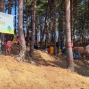 시립박물관 노리숲길 이미지