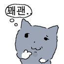 솔데이올데이