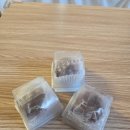 몰리스 | 찰떡픽 이마트 몰리스 입점 견우재 멍쫀쿠 후기