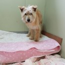 상식농장 이미지