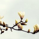 나만의 시간
