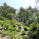 용현계곡입구 이미지