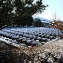 서일목장 이미지