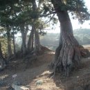 해송커플펜션 이미지