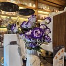 서부초등학교 | 목포 유달산 근처 카페 | 동화 속 감성 카페, 빨간머리앤 알퐁스카페 내돈내산 후기