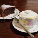 올리브 장작 이미지