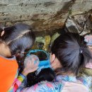 우리동네 감천 이미지