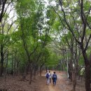 소림사유치원 이미지