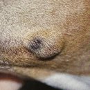 위너스 동물병원 이미지