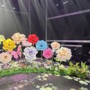 님플라워 | MBC 쇼챔피언 송지우님 무대 자이언트 플라워 세팅 후기