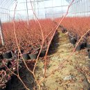 에덴농원 이미지