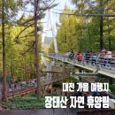 상림화원 | 【가을 단풍 여행지 / 대전】 장태산 자연휴양림 단풍 현황 (볼거리, 주차장, 스카이웨이, 출렁다리...
