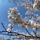 노인전문요양원 이미지