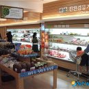 경남친환경우리밀 뉴시스
