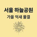 서부공원녹지사업소 화장실 | 2025 서울 하늘공원 억새축제 일정 &amp; 관람 꿀팁