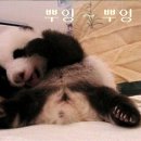 삼겹파티 이미지