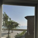 비치화이트애견펜션 이미지