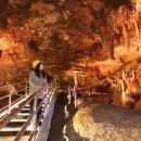 천곡황금박쥐동굴 이미지