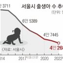 서울시장실 출생아 상황판 설치 이미지