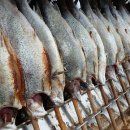 우리주식회사 이미지