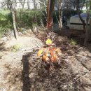 은평-080 이미지