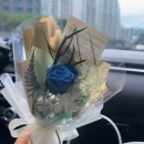 합성동051 | 7월 중간정산 일기