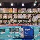 중앙대로3L | 이마트 트레이더스 맥주 : 혼자 옵서예! JEJU LAGER 제주 라거에일 맥주 전용잔 패키지