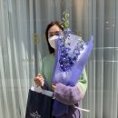보위플라워즈