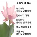 촌놈을 생각한다 /솔바위(퍼옴) 이미지