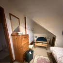 새동네농장 | 영국 우핑 우프 Wwoof 유럽 후기 하는일 농장경험 하루일과 1