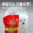 토곡동물병원 | 연산동 더블유펫 스텔라앤츄이스 입점! 부산지역 직접 배달, 전국 택배로 만나요