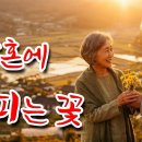 "오늘 남편 분께 이 노래 한번 들려 드려 보세요"🌅" 신곡「황혼에 피는 꽃」 이미지