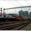 H1557 이미지