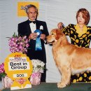 에이스 켄넬 이미지