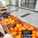 로즈애플강동롯데