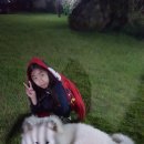 시루민박 이미지